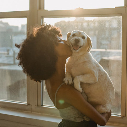 For your dog's healthy old age