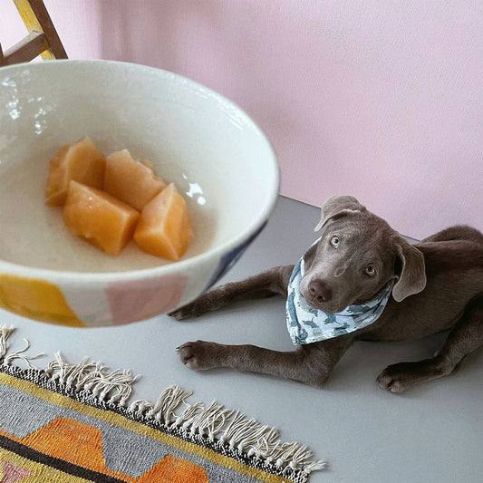 Fruits that dogs can't eat