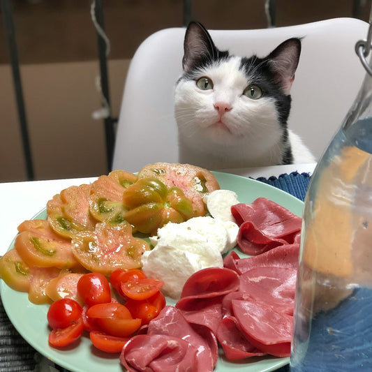 Vegetables that cats can and cannot eat