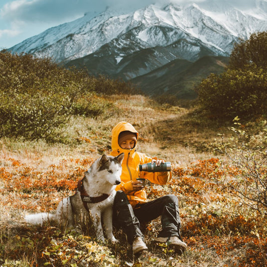 Fun Exercises with Your Pet
