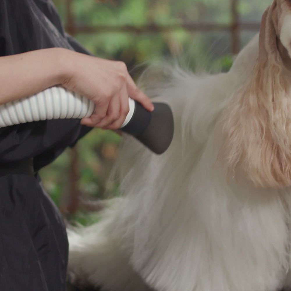 duz V3 Mobile Pet Dryer Kit: 2-in-1 Quiet Portable & Hands-Free Dryer with Holster, Stress-Free Drying for Dogs and Cats, Ideal for Professional Mobile Groomers