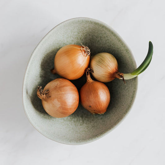 Vegetables that dogs can't eat