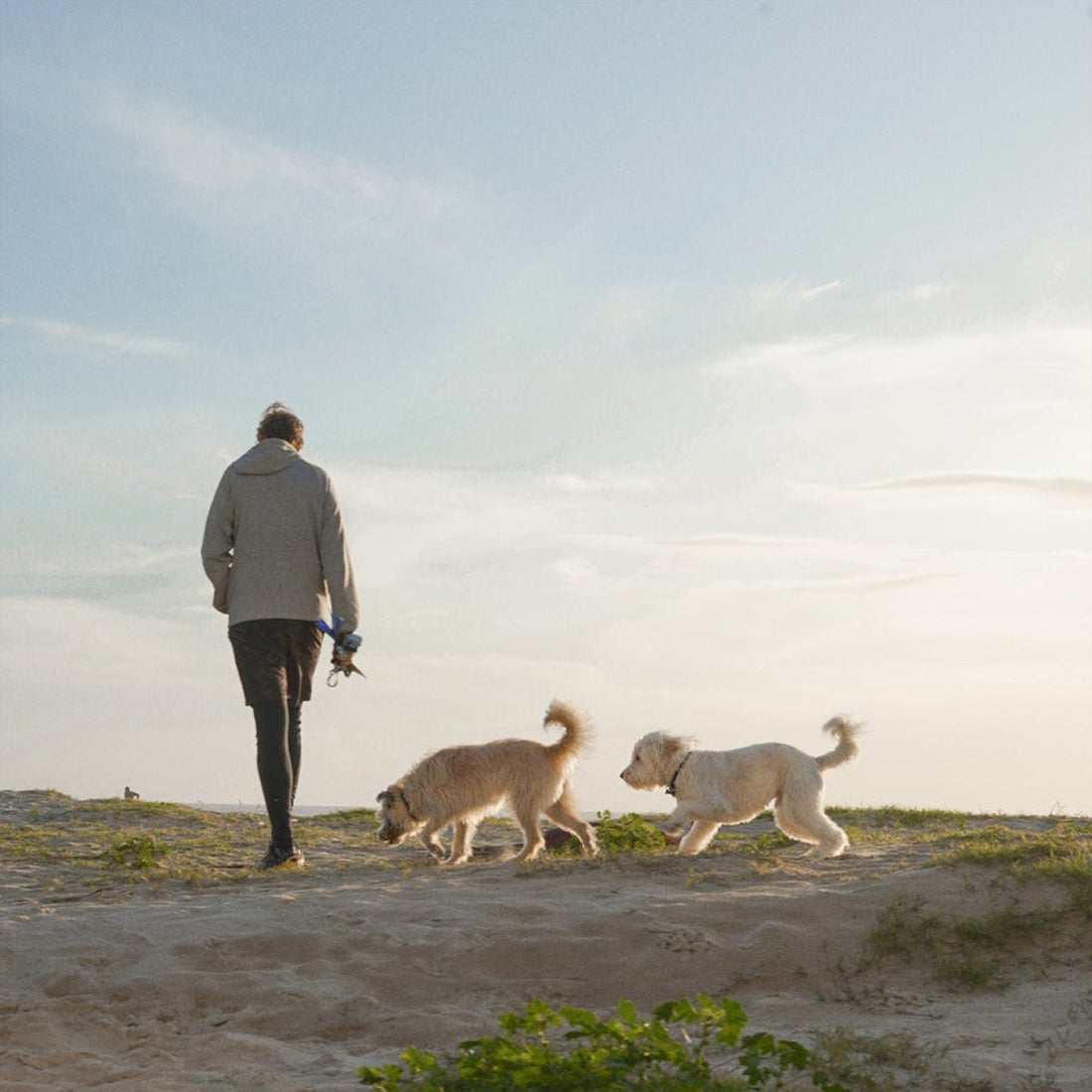 Germany's Pet-Related Laws (feat. Dog Tax)