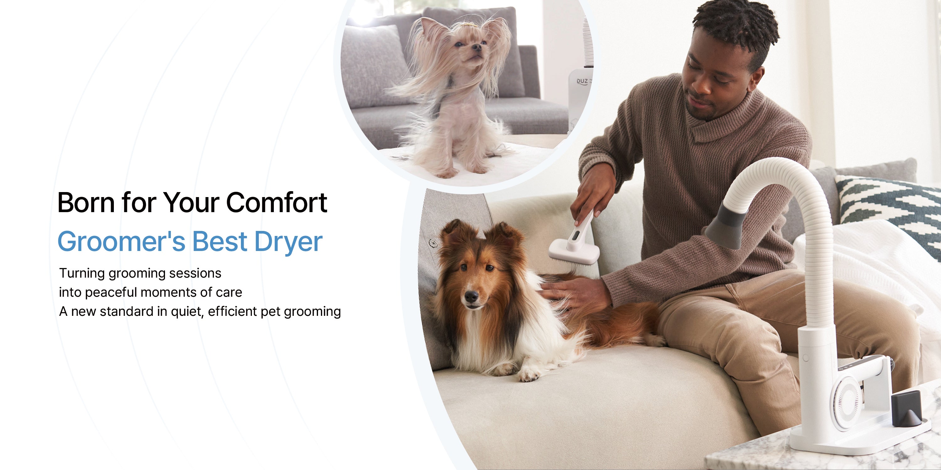 Best dog dryer on sale australia