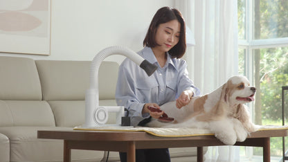 DUZ V3 2-in-1 Pet Grooming Dryer: Handheld/Hands-Free, Powerful PMSM Motor with 10000 RPM, Lightweight, Quiet, Adjustable tube, Stress-Free Drying, Ideal for All Coats